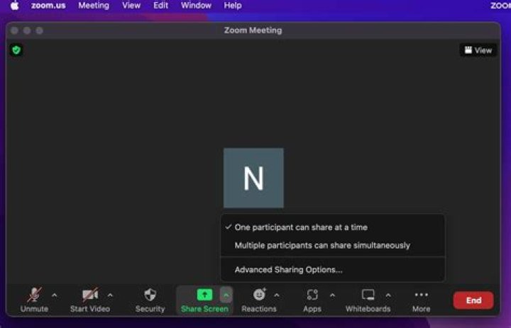 What does 4x zoom mean?